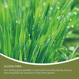 Barley Green Grass Juice Powder with Rich Dietary Fiber, No Addtives