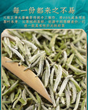 White Hairs Silver Needle Fuding White Tea Spring Tea Ming Qian First Pick 50g