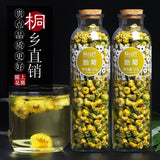 Genuine Chrysanthemum Tea Tongxiang Fetal Chrysanthemum Flower Tea