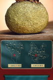 Dried Xinhui Citrus Tea Pu'er Tea Tangerine Peel Cooked Tea Gift Box Authentic