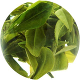 250g  Spring Anji Bai Cha Long Jing White Dragon Well Loose Leaf GREEN TEA