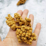 Organic Dried Loquat Flower, Eriobotrya Japonica