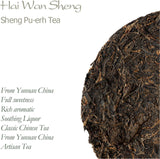 Hai Wan Lao Tong Zhi 7548 - 2007 Sheng Pu-erh Tea - 357g