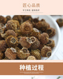 Guizhou Prickly Pear Dried Prickly Pear Fruit Bulk Prickly Pear Tea VCfruit 500g