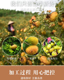 Guizhou Prickly Pear Dried Prickly Pear Fruit Bulk Prickly Pear Tea VCfruit 500g