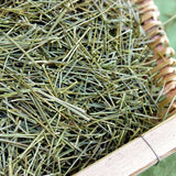 Organic Nature Pine Needle tea, Pine tea, Song Zhen