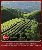 350g Fuding High Mountain Old White Tea High Mountain Sun White Tea Tea Cake