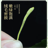 Selected Honeysuckle Premium Natural Dried Flower Bulk Health Tea