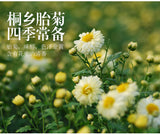 Genuine Chrysanthemum Tea Tongxiang Fetal Chrysanthemum Flower Tea