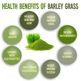 RAW 100% Organic Barley Grass Powder Superfood Greens 100g/250g/500g/1kg