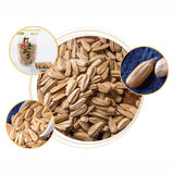 Sunflower Seeds Large Shell Melon Seeds, Flesh, Full Particles, Roasted Snacks