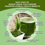 Barley Grass Powder Original 100% healthy Pure Organic Barley Chlorophyll & Trace Minerals No Maltodextrin & Sugar