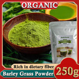 Barley Grass Powder 100% Pure & Organic Organic Barley Grass Powder Pure Organic Barley for Women and Men 250g Gluten-Free Soy-Free Vegan & Paleo – Daily Greens Booster