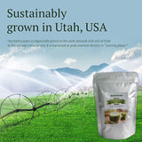 BARLEY GRASS POWDER 100% Certified Organic