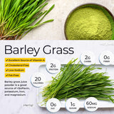 Barley grass official store Organic Barley Grass Powder original 250g Juice Powder Chlorophyll & Trace Minerals No Maltodextrin & Sugar