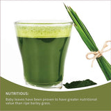 Barley Grass Powder Original 100% healthy Pure Organic Barley with Rich Dietary Fiber, No Addtives