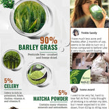 Barley Grass Juice 250g Powder Organic Non-GMO Vegan Cold-Juiced and Low-Temperature Dried