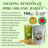 Barley Grass Powder 100% Pure & Organic Organic Barley Grass Powder Pure Organic Barley for Women and Men 250g Support Immune System and Digestion, Vegan