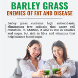 Barley Grass Powder Original 100% healthy Pure Organic Barley Chlorophyll & Trace Minerals No Maltodextrin & Sugar