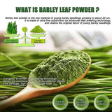 Barley Grass Powder Original 100% Pure And Organic Green Tea Barley Grass Powdered Drink Gluten-Free Soy-Free Vegan & Paleo – Daily Greens Booster