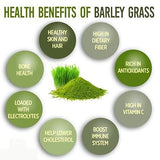 Barley grass official store Organic Barley Grass Powder original 250g  Organic Barley Low Carb Diabetic Friendly e for weight loss