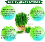 Barley Grass Powder 100% Pure & Organic Organic Barley Grass Powder Pure Organic Barley for Women and Men 250g burning fat, purifying liver, lowering cholesterol, beautiful skin, healthy slimming drink