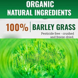 Barley Grass Powder Original 100% Pure And Organic Green Tea Barley Grass Powdered Drink Pure, Kosher, Vegan, Bulk. Good Source of Fiber, Protein. Great for Juices