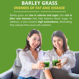 Barley grass official store Organic Barley Grass Powder original 250g RAW, GREENISH LIKE LEAVES, NO PRESERVATIVE,NON GMO