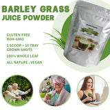 Barley Grass Juice 250g Powder Organic Non-GMO Vegan Cold-Juiced and Low-Temperature Dried