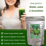 Matcha Latte - Green Tea Powder with Shelf Stable Probiotics and Fiber, Sugar Free Keto Diet Friendly, Vegan, Detox and Destress, Antioxidants, Authentic slimming