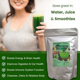 Matcha Latte - Green Tea Powder with Shelf Stable Probiotics and Fiber, Sugar Free Keto Diet Friendly, Vegan, Detox and Destress, Antioxidants, Authentic matcha green tea powder