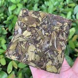 200g Shoumei White Tea Brick Top Fuding High Quality White Tea Chinese White Tea