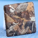 Mini Yunnan Ancient Tree Old White Tea Benefits Chinese Organic White Tea Brick