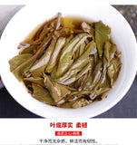 Haiwan Yi Wu Zheng Shan Shen 500g Puer Tea Ma Hei Famous Old Tree Pu'er