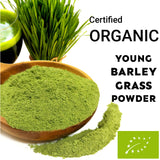 Super Green ORGANIC Young Barley Grass Powder Superfood Chlorophyll Juice Detox