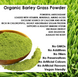 Super Green ORGANIC Young Barley Grass Powder Superfood Chlorophyll Juice Detox