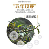 Natural Health Herbal Tea pure shihu Tiepi Modified Dendrobium candidum powder