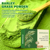 20-200X Barley Grass Powder 100%Pure & Organic  Pure Organic Barley