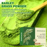 Naveta Barley Grass Powder 100%-Pure & Organic, Naveta Pure Organic-Barley New