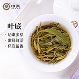 CHINATEA Du Yun Mao Jian Green Tea Guizhou Fishhook Spring Tea 200g Bag