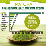 Organic Matcha Green Tea Powder Unsweetened 100% Natural 1LB