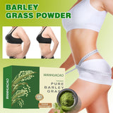 Naveta Barley Grass Powder 100%-Pure & Organic, Naveta Pure Organic-Barley New