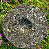 Health Care Natural Pu'er Tea Yiwuqingbing Organic Arbor Pu'er Tea 357g