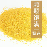 Yellow Millet Shandong Golden Millet He Lai Xiang Baby Children High-fiber 500g