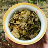 Early Spring Arbor Tea Classical Healthy Drink Authentic Yiwu Pu'er Tea 357g