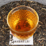 Cha Pu-Erh Tea Ecology Puwen Yunya Hong Kong Return 10th Anniversary Puer 400g