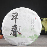 Cha Tea Health  Arbor Early Spring Tea Pu'er Garden Tea Cake 180g