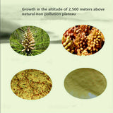 99% Crack Certificated Wild Harvested Shell-broken Pine Pollen Powder 10bags*50g