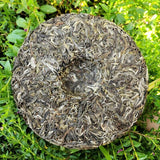 Jingmai Ancient Tree Pu'er Tea Gift Tea Spring Tea Pu'er Tea Cake 357g