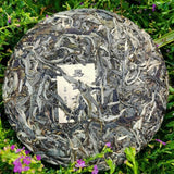 Health Care Natural Pu'er Tea Yiwuqingbing Organic Arbor Pu'er Tea 357g